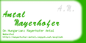 antal mayerhofer business card